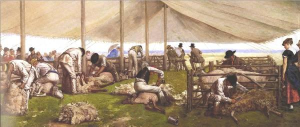 A Sheep-Shearing Match, Eyre Crowe